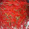 Cabe Merah